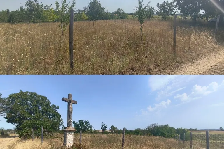 Nagykónyiban, egymás melleti 5 zártkerti ingatlan ELADÓ!