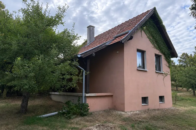 Lukácsházán hangulatos hétvégi ház és szőlőültetvény borospincével eladó!