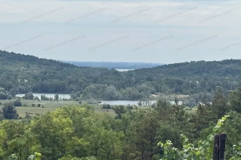 Eladó beépíthető, szinte szomszéd mentes zártkert Kékkúton panorámával!