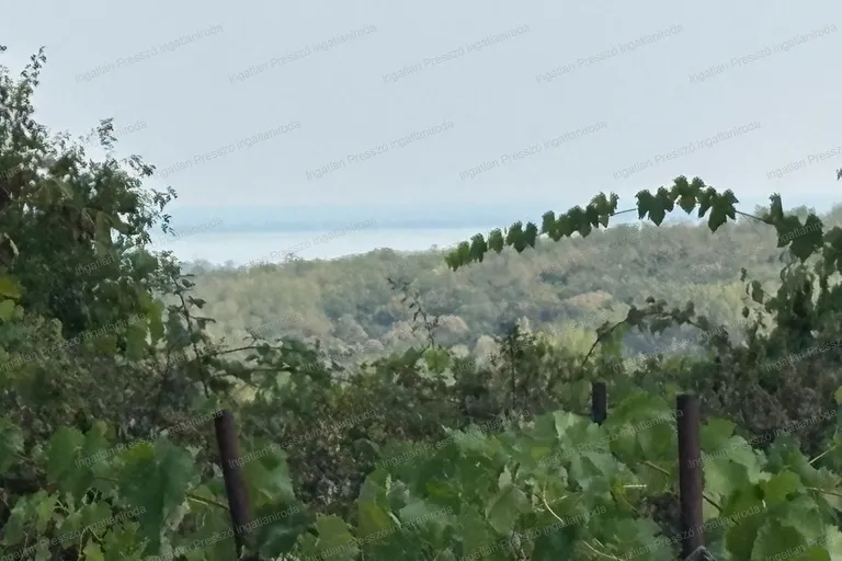 Eladó összesen 3721 m2 zártkertek Lesencefalu külterületi részén!