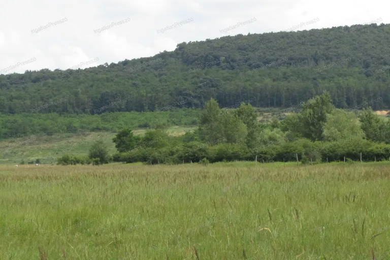 Eladó 6559 m2 rét besorolású patak parti külterületi telek Ábrahámhegyen!