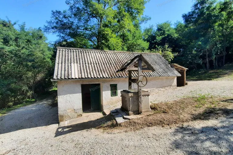 Eladó erdő melletti ingatlan Lesenceistvándon