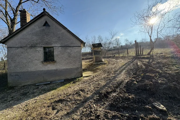 Eladó erdő melletti ingatlan Lesenceistvándon
