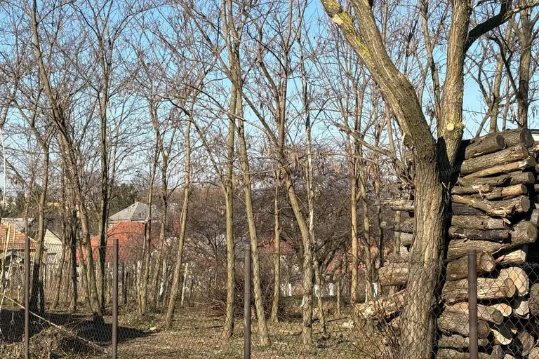 Eladó építési telek Csabrendeken