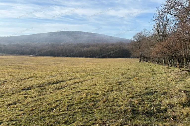 Eladó 18,5 ha szántó Monostorapáti külterületén!