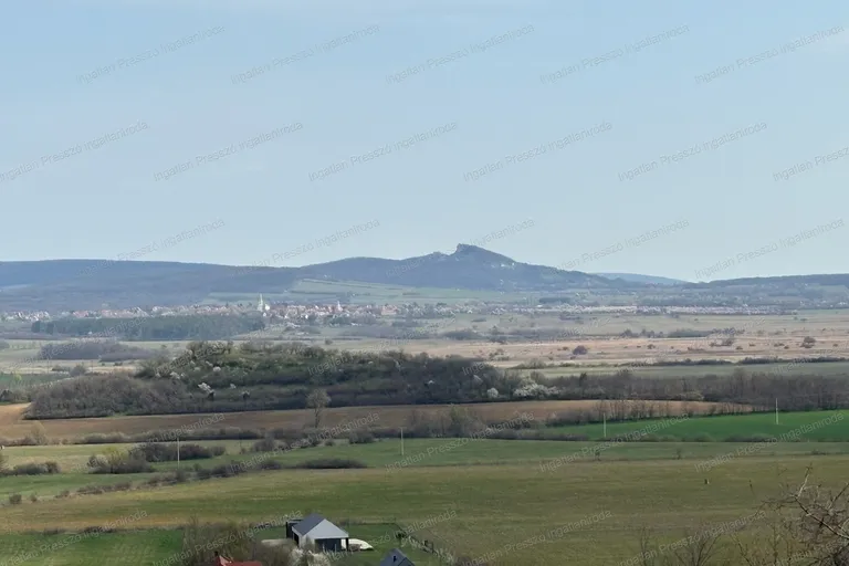 Eladó 3000 m2 beépíthető zártkert Mindszentkállán!