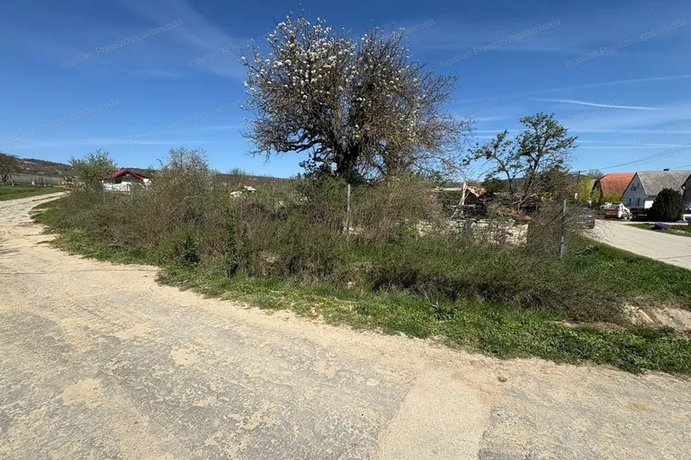 Eladó belterületi telek Balatoncsicsón a falu széléhez közel!