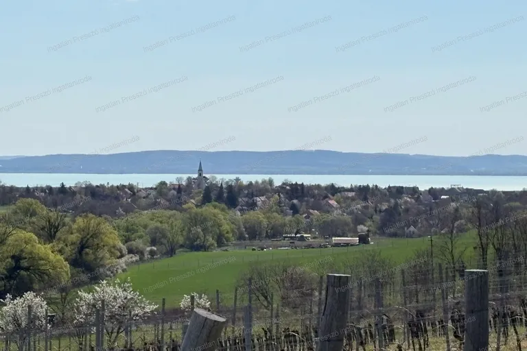 Eladó beépíthető balatoni panorámás zártkert Balatoncsicsón!
