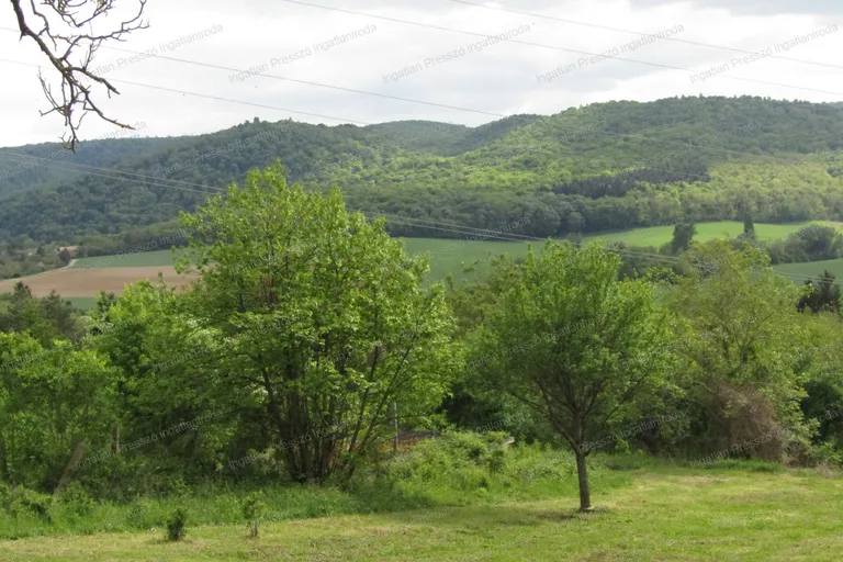 Eladó elbújós nyaraló Várvölgyön