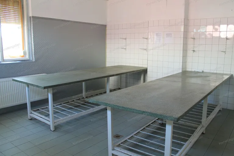 Sokoldalúan hasznosítható ipari ingatlan Lajosmizsén (Kiváló telephelynek, üzemnek, üzletnek, munkásszállónak)