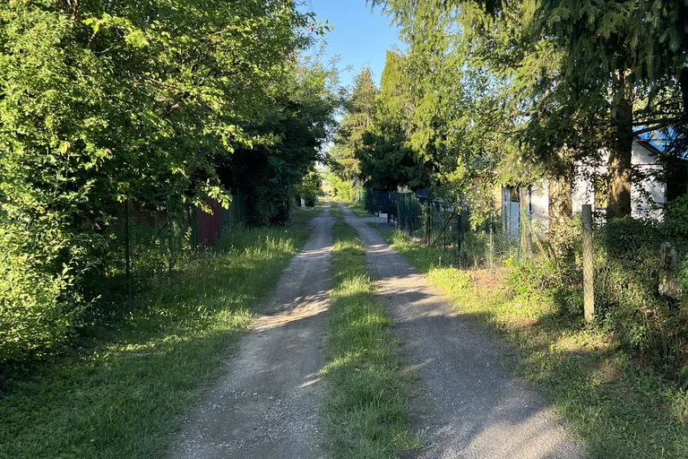 Szombathelyen vízzel,villannyal 608 nm-es kert eladó sok gyümölcsfával