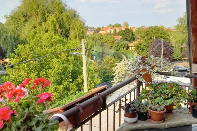 Hívja a tulajdonost: Révész Mónika +36705402306