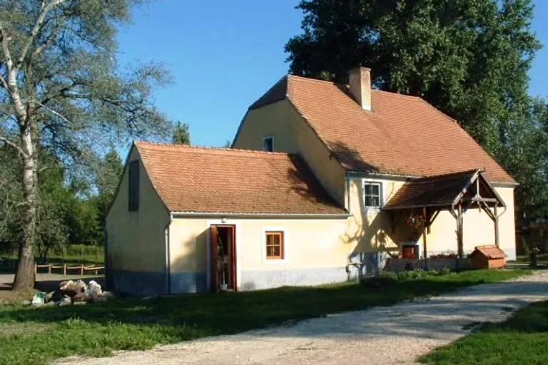 Tatabánya belterületén 10 000 nm területű bírtok eladó