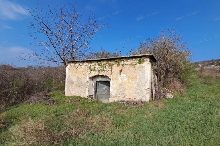 Balatonszőlősön eladó külterületi telek felújítandó házzal