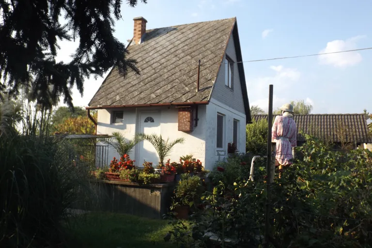 Gazdálkodásra alkalmas birtok eladó